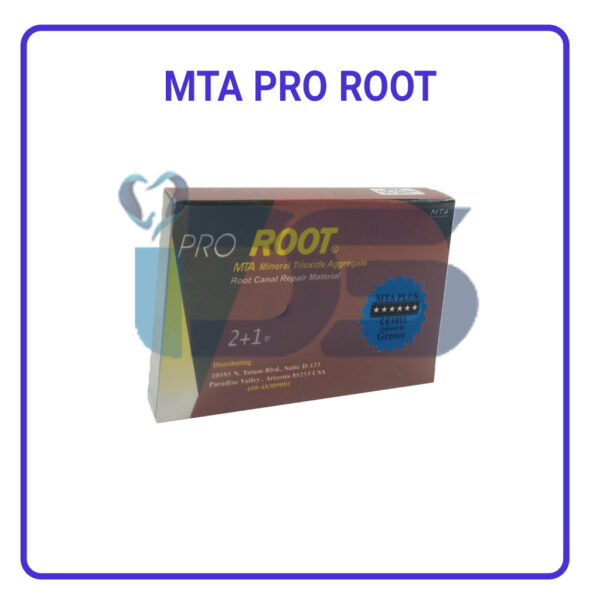 Pro Root MTA