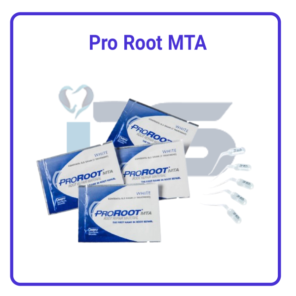 pro root MTA