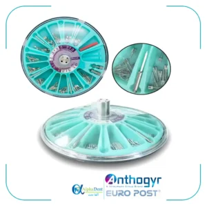 پین استیل آنتوژیر (Anthogyr EURO POST)